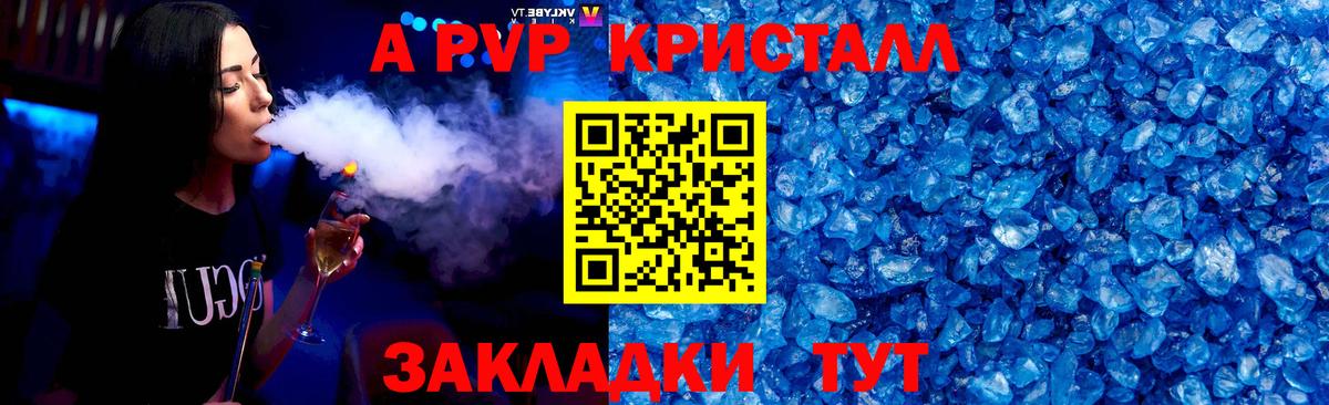 A PVP СК КРИС Архангельск