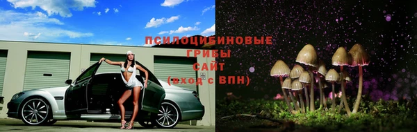 соль ск Янаул