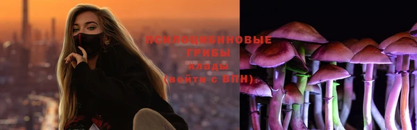 apvp Карталы