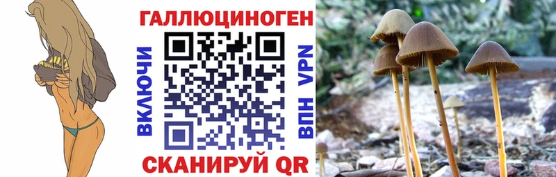 Псилоцибиновые грибы GOLDEN TEACHER  дарнет шоп  Архангельск 
