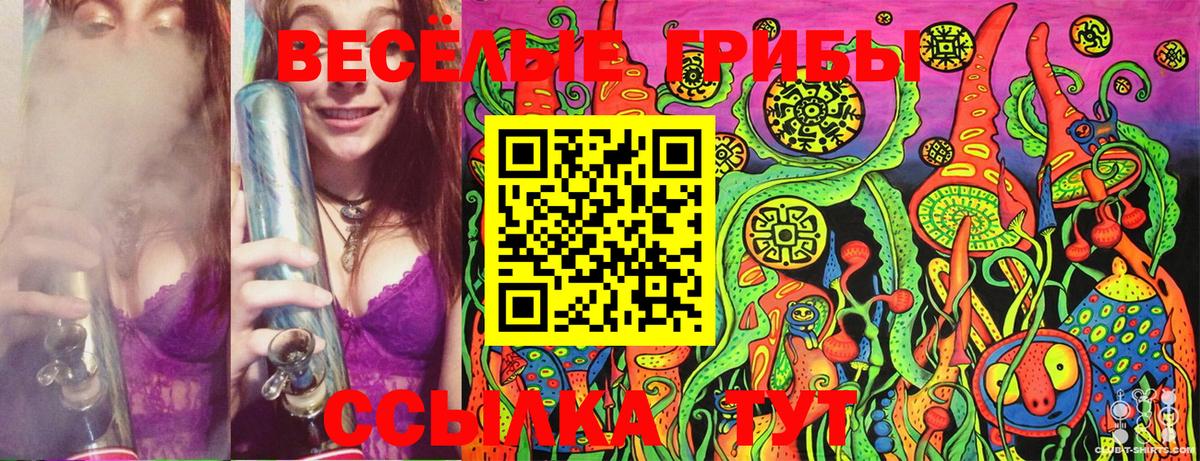 купить наркоту  Псилоцибиновые грибы мухоморы  Архангельск  Псилоцибиновые грибы ЛСД 