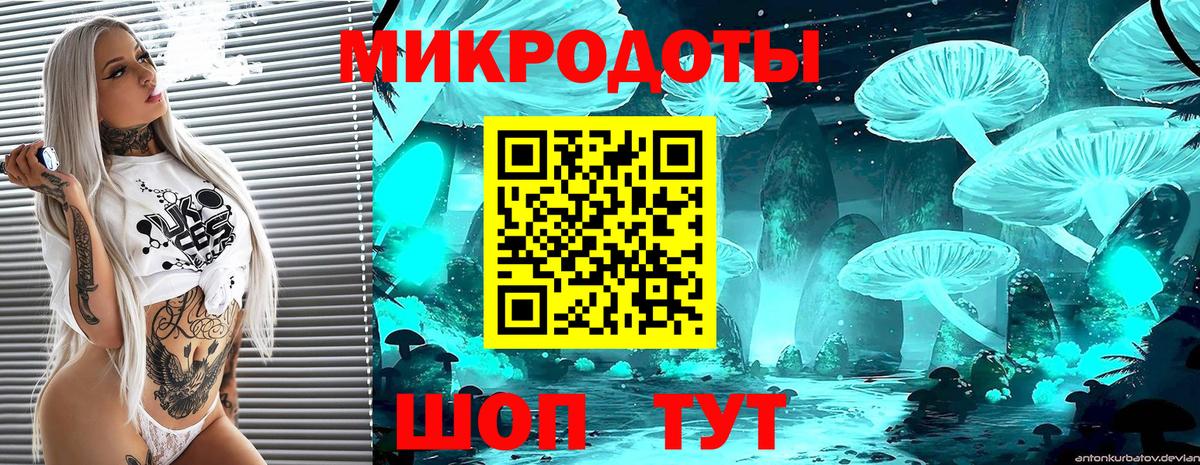 Галлюциногенные грибы MAGIC MUSHROOMS  Вход с VPN  Архангельск 