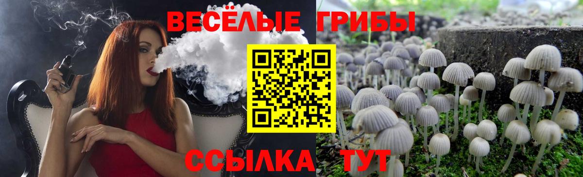 Псилоцибиновые грибы GOLDEN TEACHER Архангельск
